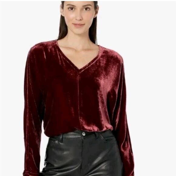 Eileen Fisher Velvet Silk Blend Dolman Sleeve S Top V Neck Blouse Holidays Boxy - Picture 1 of 7